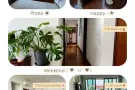 蓝线 Beauty world MRT靠近SiM 、SUSS、NUS出租