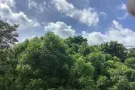 兀兰Woodlands地铁站 对面普通房 出租 （只租1女）