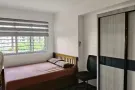 红线坎贝拉